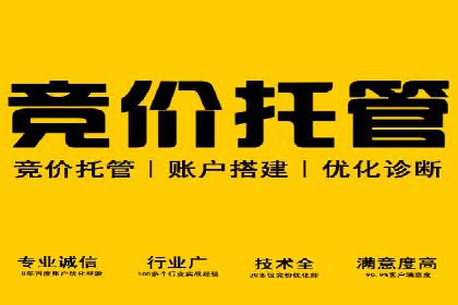 百度竞价推广助力企业品牌崛起案例